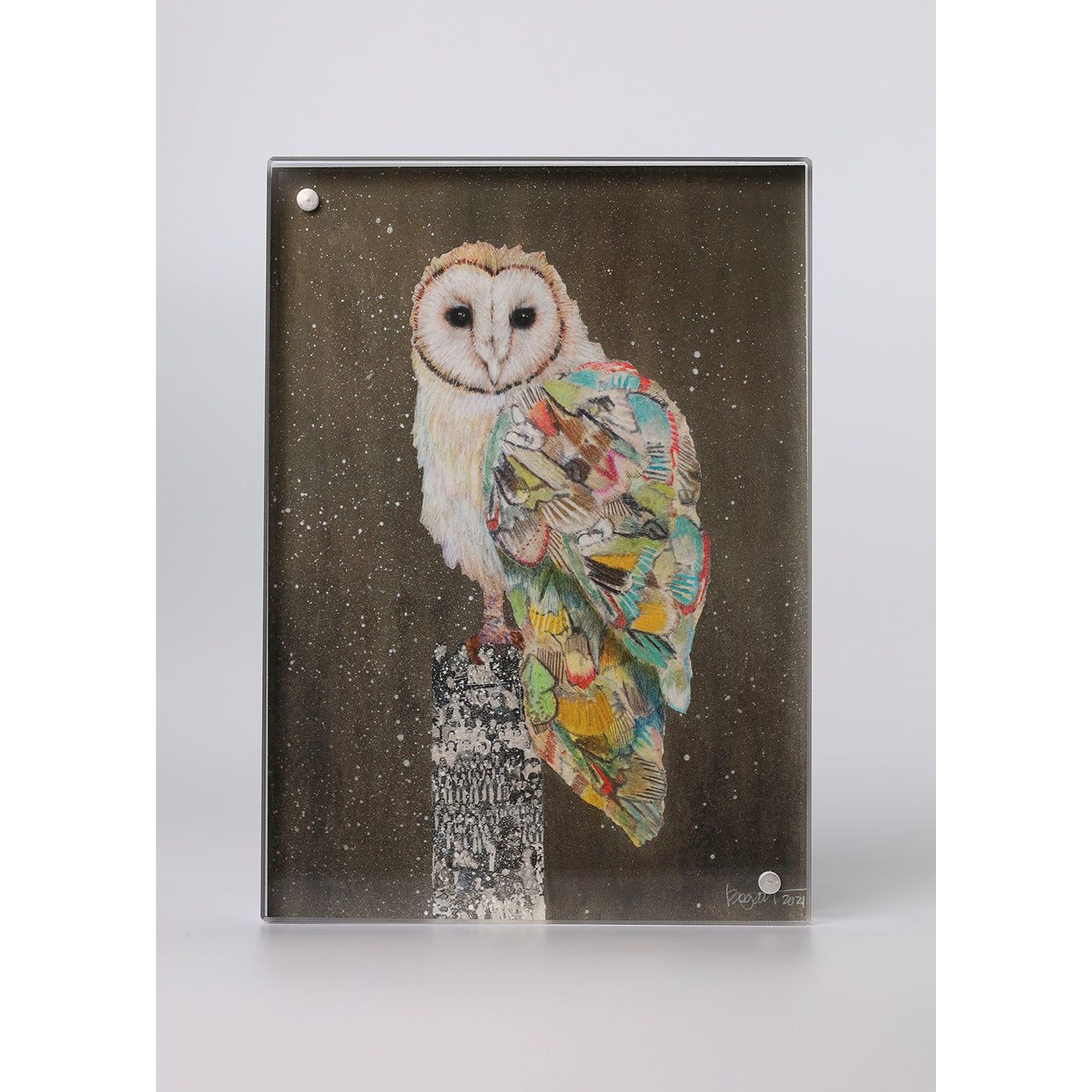 Acrylic Framed Barn Owl Snowy Night 2 Print