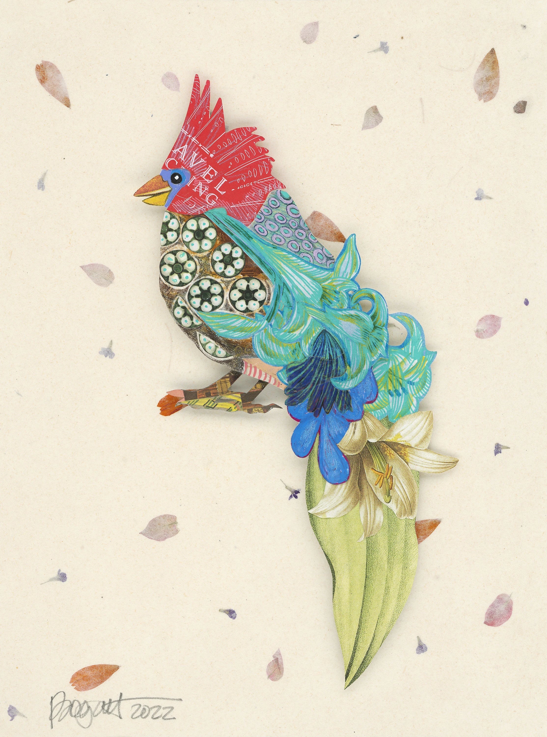 Cardinals
