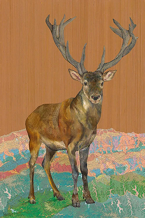 Stag