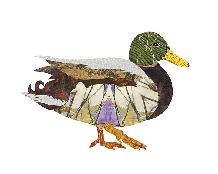 Ducks