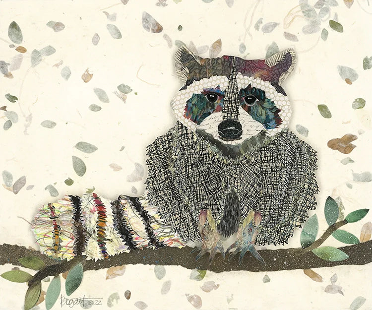 Raccoon
