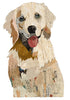 Golden Retriever Adult Archival Print