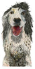 English Setter "Annie" Archival Print