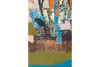 Aspen Archival Print