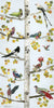 Trees of Life 8 (Aspen) Archival Print