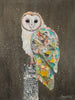 Barn Owl On a Snowy Night 2 Archival Print