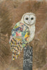 Barn Owl On Brown Leaves Archival Print