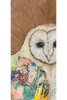 Barn Owl On Brown Leaves Archival Print