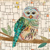 Barred Owl 2 Archival Print