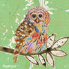 Barred Owl 3 Archival Print