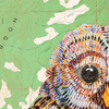 Barred Owl 3 Archival Print