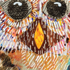 Barred Owl 3 Archival Print
