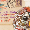 Barred Owl 4 Archival Print