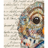 Barred Owl 5 Archival Print