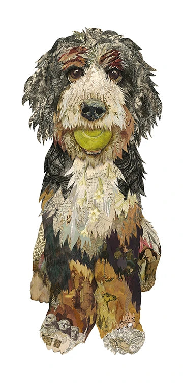 Acrylic Framed Bernie Bernedoodle Print