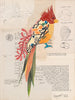 Bird 2 Archival Print