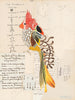 Bird 39 Archival Print
