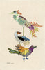 Bird Totem 1 "Alexander, George, & Thomas" Archival Print