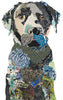 Black Lab 1 Archival Print