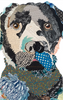 Black Lab 1 Archival Print