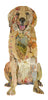 Golden Retriever Blaire Archival Print
