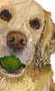 Golden Retriever Briggs Archival Print