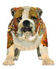 Bulldog 2 Archival Print
