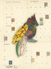 Cardinal 2 Archival Print