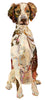 Chester Brittany Spaniel Archival Print