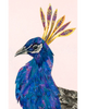 Peacock "Frances" Archival Print
