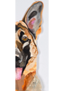 German Shepherds Archival Print