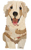 Golden Retriever Puppy Archival Print