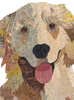 Golden Retriever 2 Archival Print