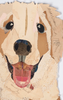 Golden Retriever Puppy Archival Print