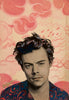 Harry Styles (Mini) Archival Print