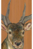 Stag "Hemingway" Archival Print