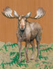 Moose "Huckleberry" Archival Print