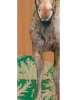 Moose "Huckleberry" Archival Print