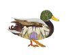 Mallard Duck (White Background) Archival Print