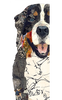 Bernese Mountain (Max) Archival Print