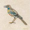 Mockingbird 70 Archival Print