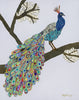 Peacock "Paolo" Archival Print