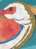 Pelican 1 "Prudence" Archival Print