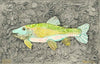 Rainbow Trout 2 Archival Print