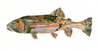 Rainbow Trout 8 Archival Print