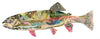 Rainbow Trout 10 Archival Print