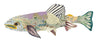 Rainbow Trout "Lenora" Archival Print