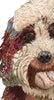 Aussie Doodle Rollie Archival Print