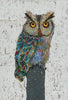 Screech Owl 9 Archival Print