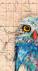 Screech Owl 10 Archival Print
